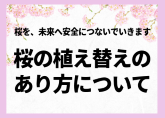 桜の植え替えのあり方について