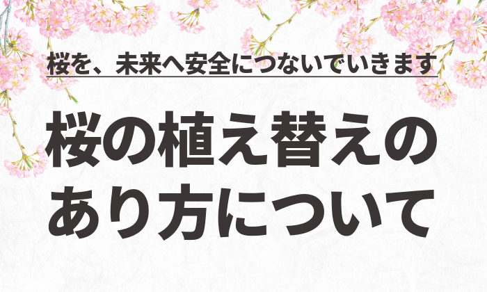 桜の植え替えのあり方について