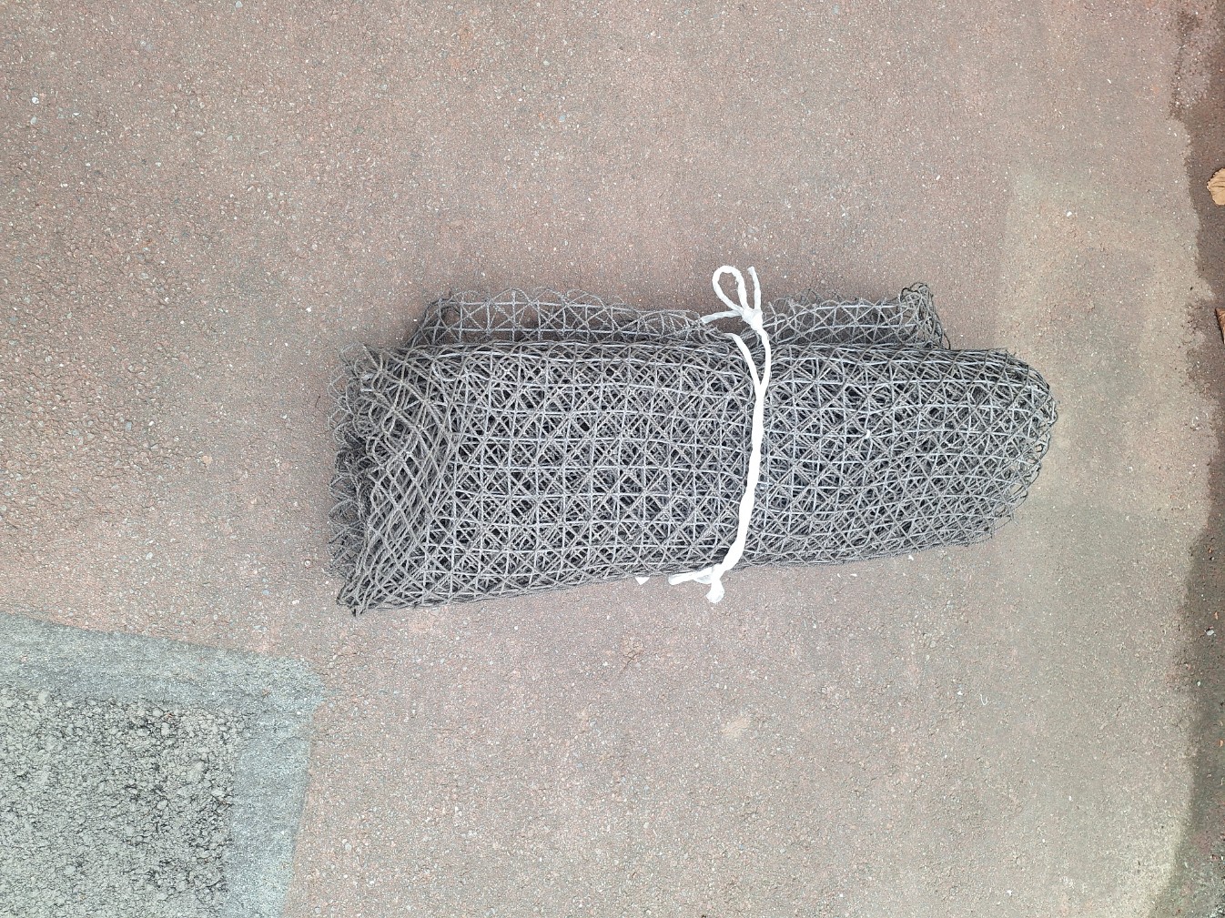 カラス除けネット2