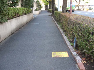 (写真)1. さくら通り歩道