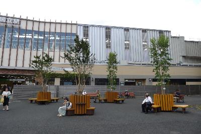 植替え後の様子
