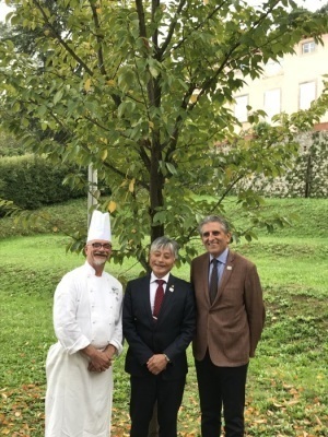 ジャンルーカ先生、レムッキ副市長と