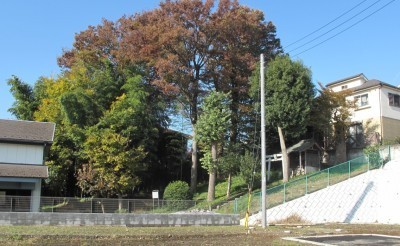 写真・円成院跡全景