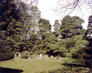 (写真)市指定史跡南養寺庭園