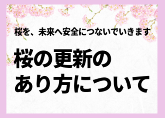桜の更新のあり方について