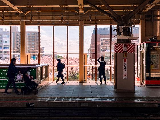 くにたち写真コンテストの受賞作品