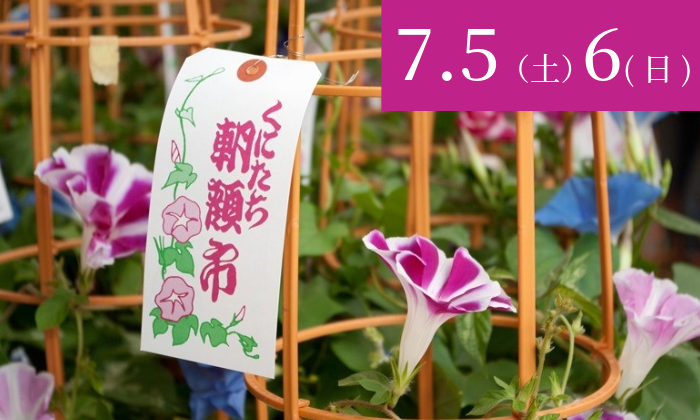 朝顔市2025年7月5日、6日に開催