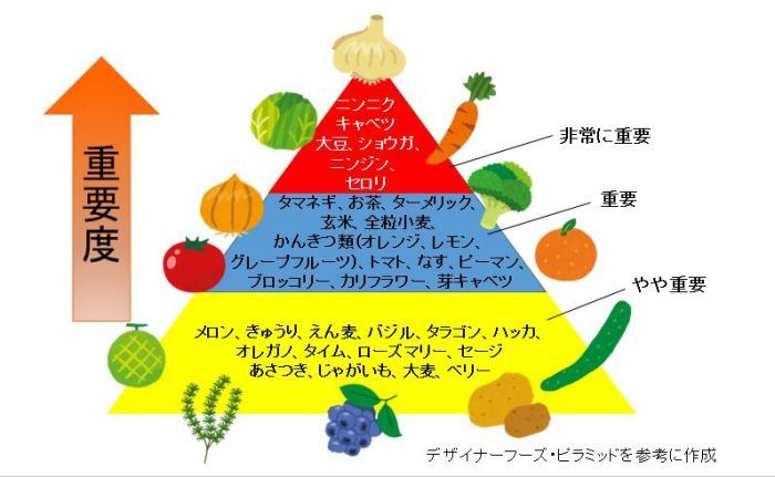 食品のピラミッドのイメージ