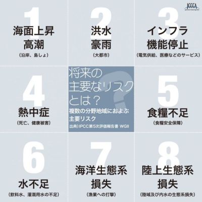 複数の分野地域におよぶ主要リスクの一覧