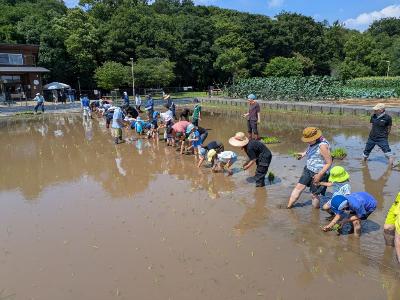 令和8年6月13日開催「わくわく稲作体験」の田んぼで稼働しているよ！