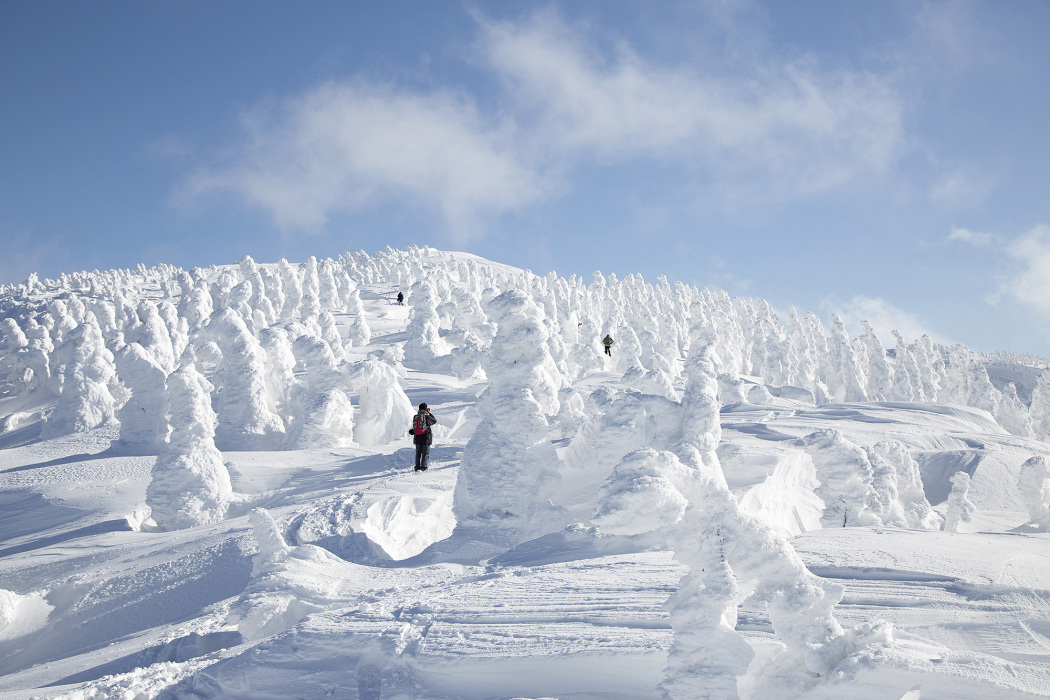 森吉山の樹氷